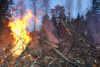 Röste.nu – Röstebilder – Valborgsfirande vid Dönjegården 2024