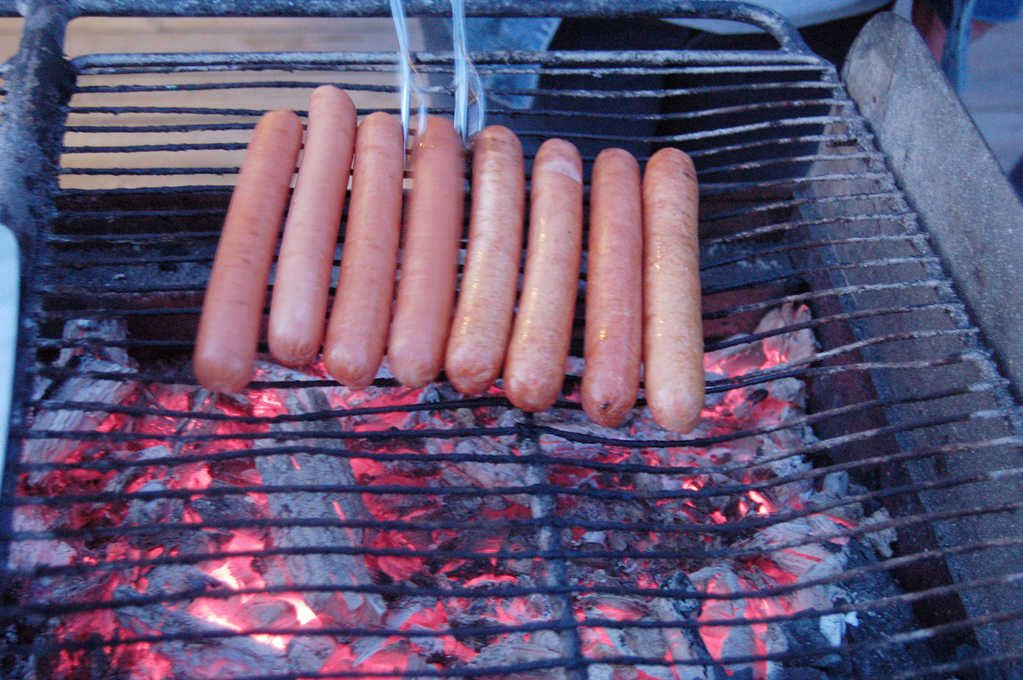 Röste.nu – Röstebilder – Välbesökt Valborgsfirande vid Dönjegården 2011