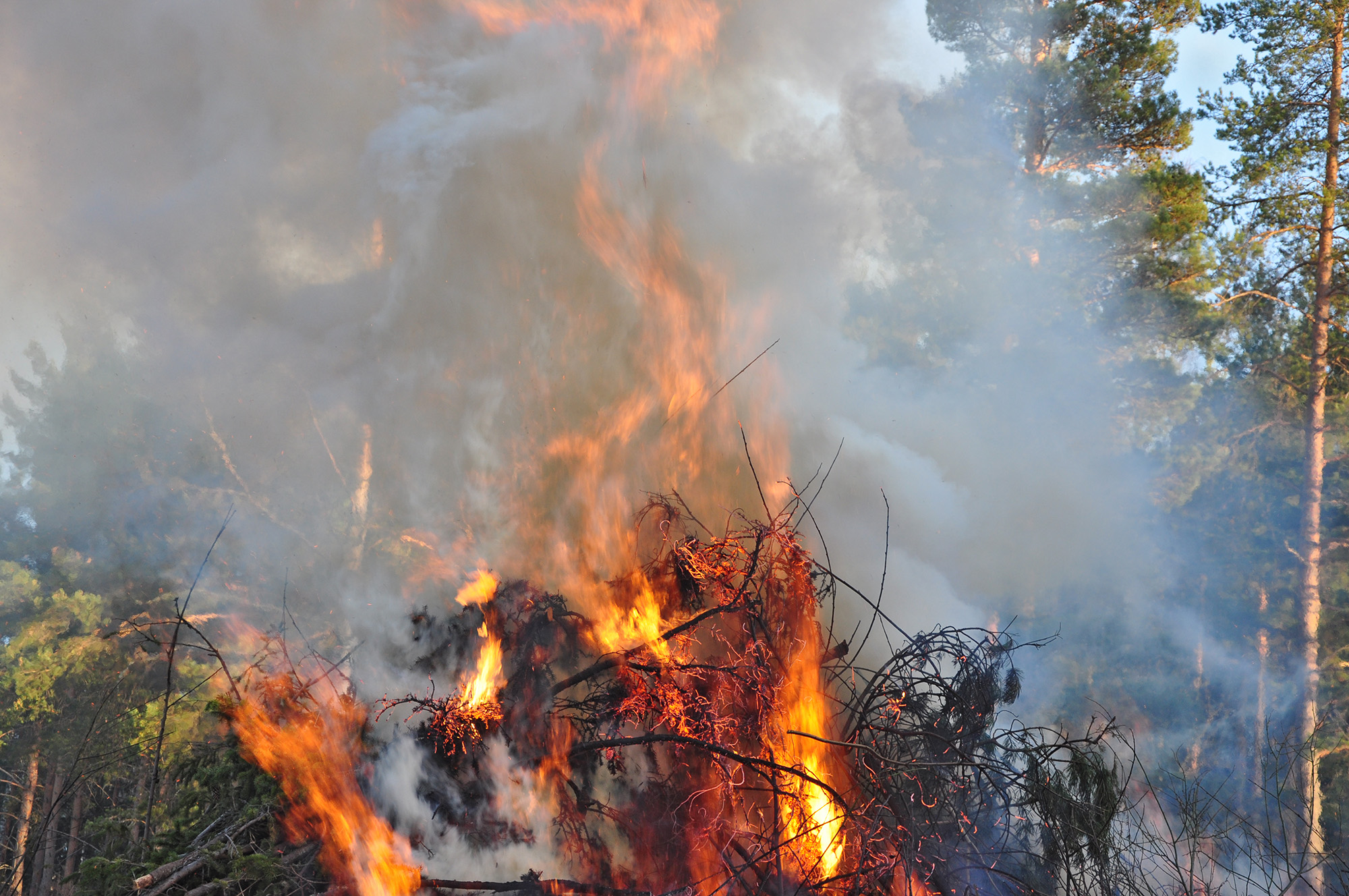 Röste.nu – Röstebilder – Valborgsfirande vid Dönjegården 2013