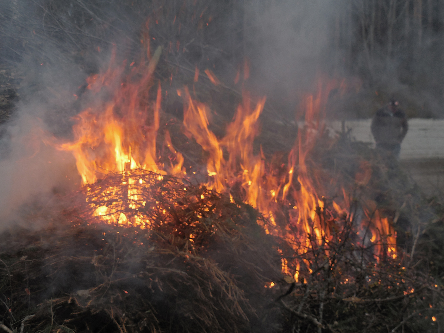 Röste.nu – Röstebilder – Valborg firades vid Dönjegården 2016