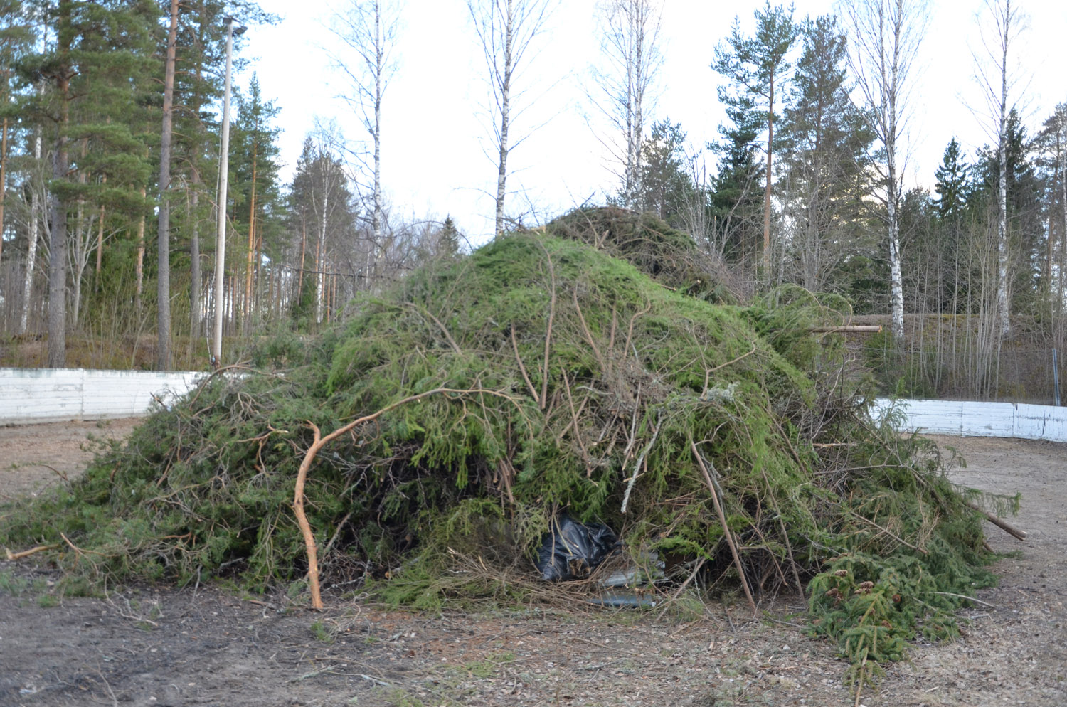 Röste.nu – Röstebilder – Valborgsfirande vid Dönjegården 2017