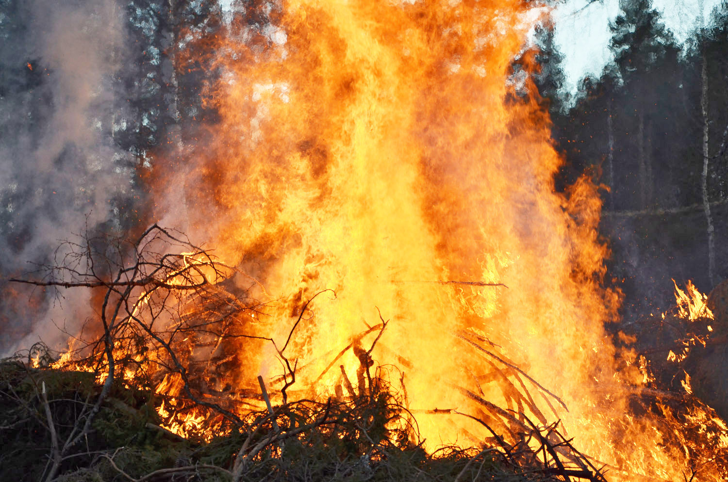 Röste.nu – Röstebilder – Valborgsfirande vid Dönjegården 2017