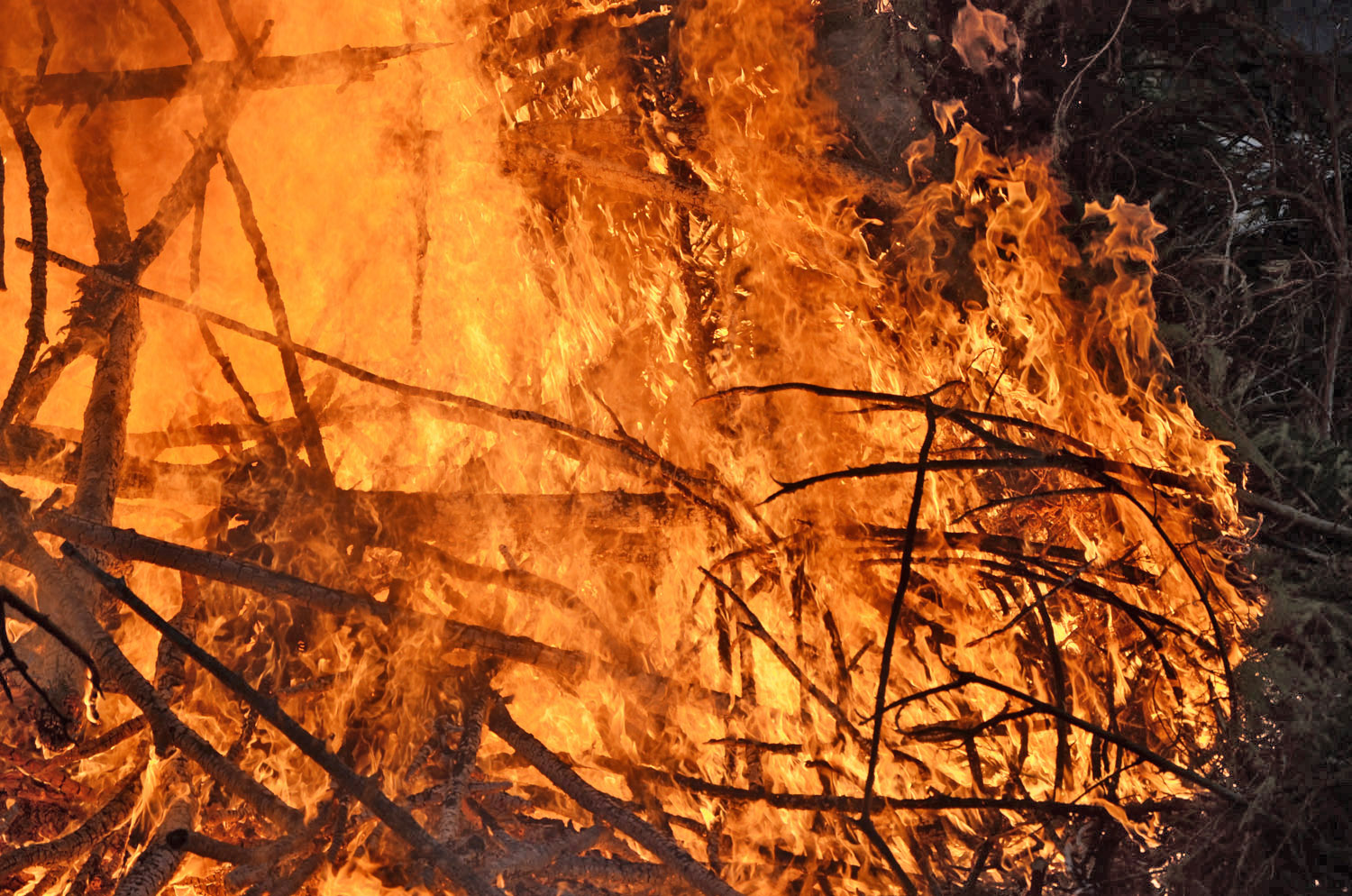 Röste.nu – Röstebilder – Valborgsfirande vid Dönjegården 2017