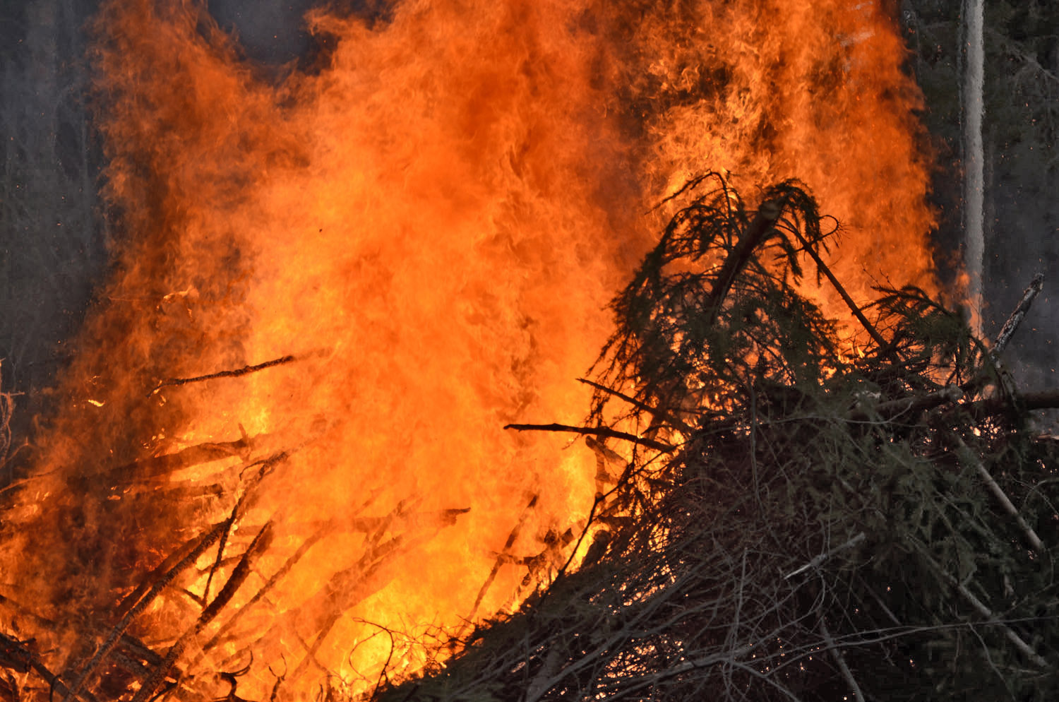 Röste.nu – Röstebilder – Valborgsfirande vid Dönjegården 2017