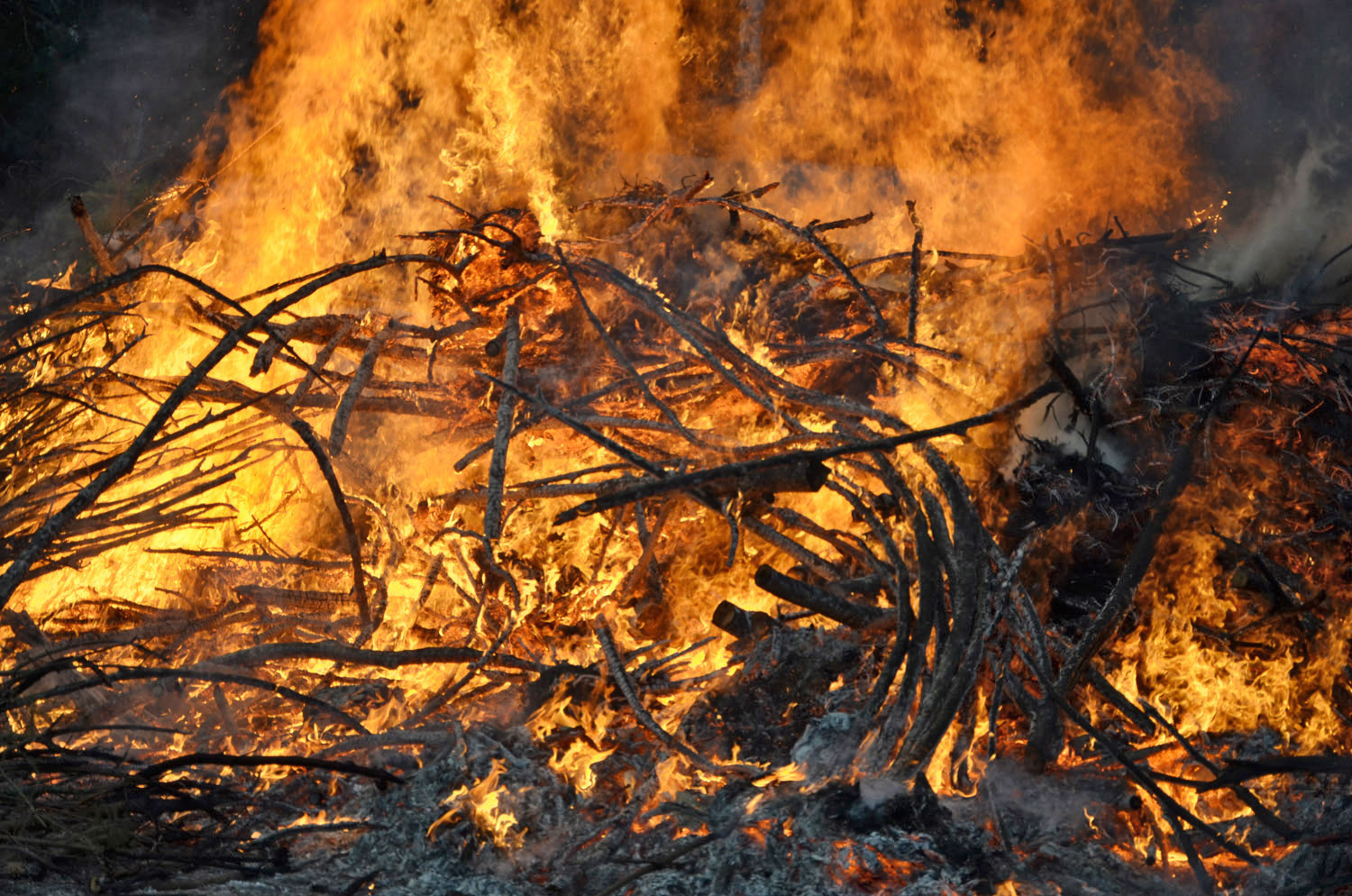Röste.nu – Röstebilder – Valborgsfirande vid Dönjegården 2017