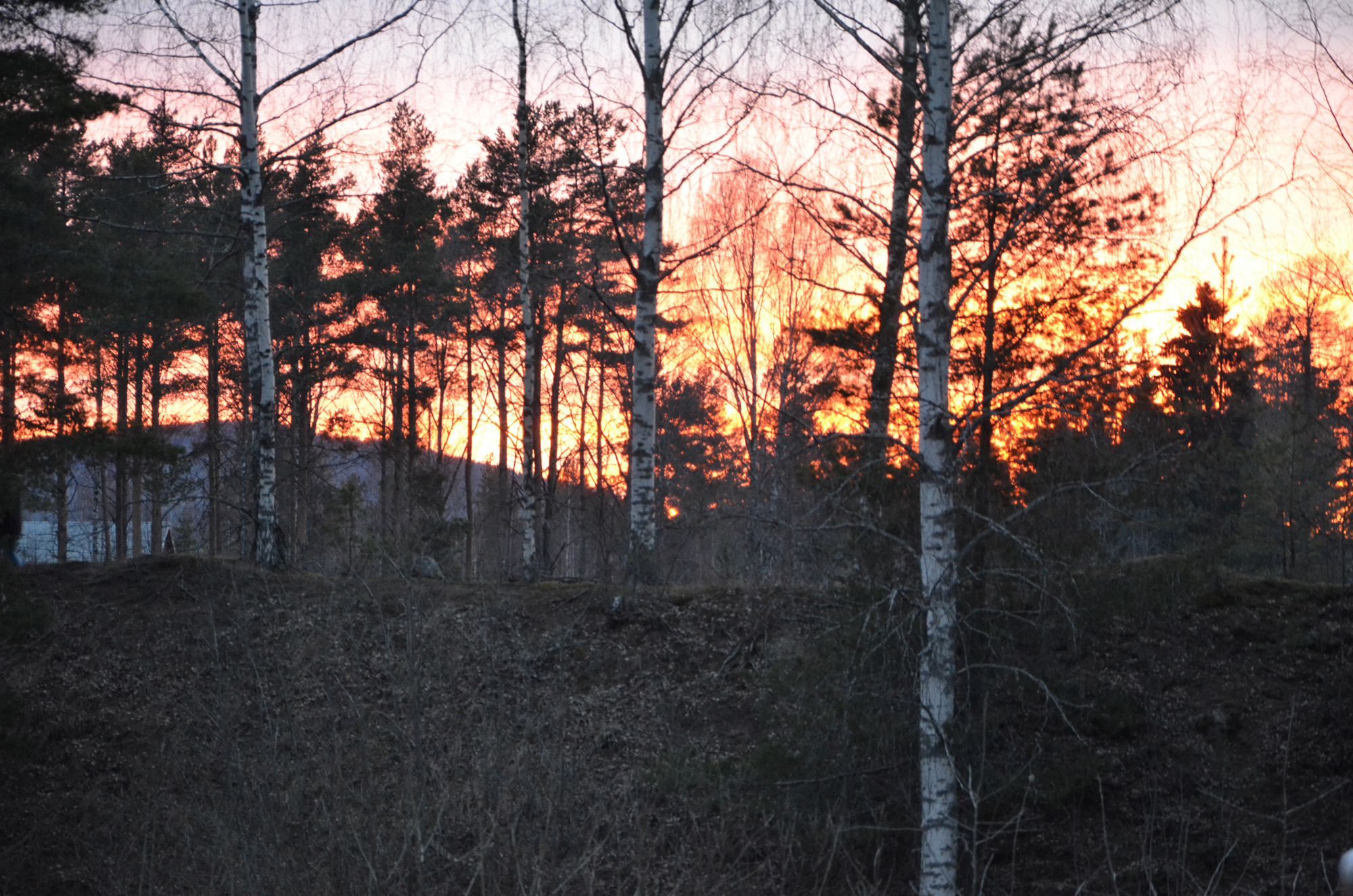 Röste.nu – Röstebilder – Valborgsfirande vid Dönjegården 2018