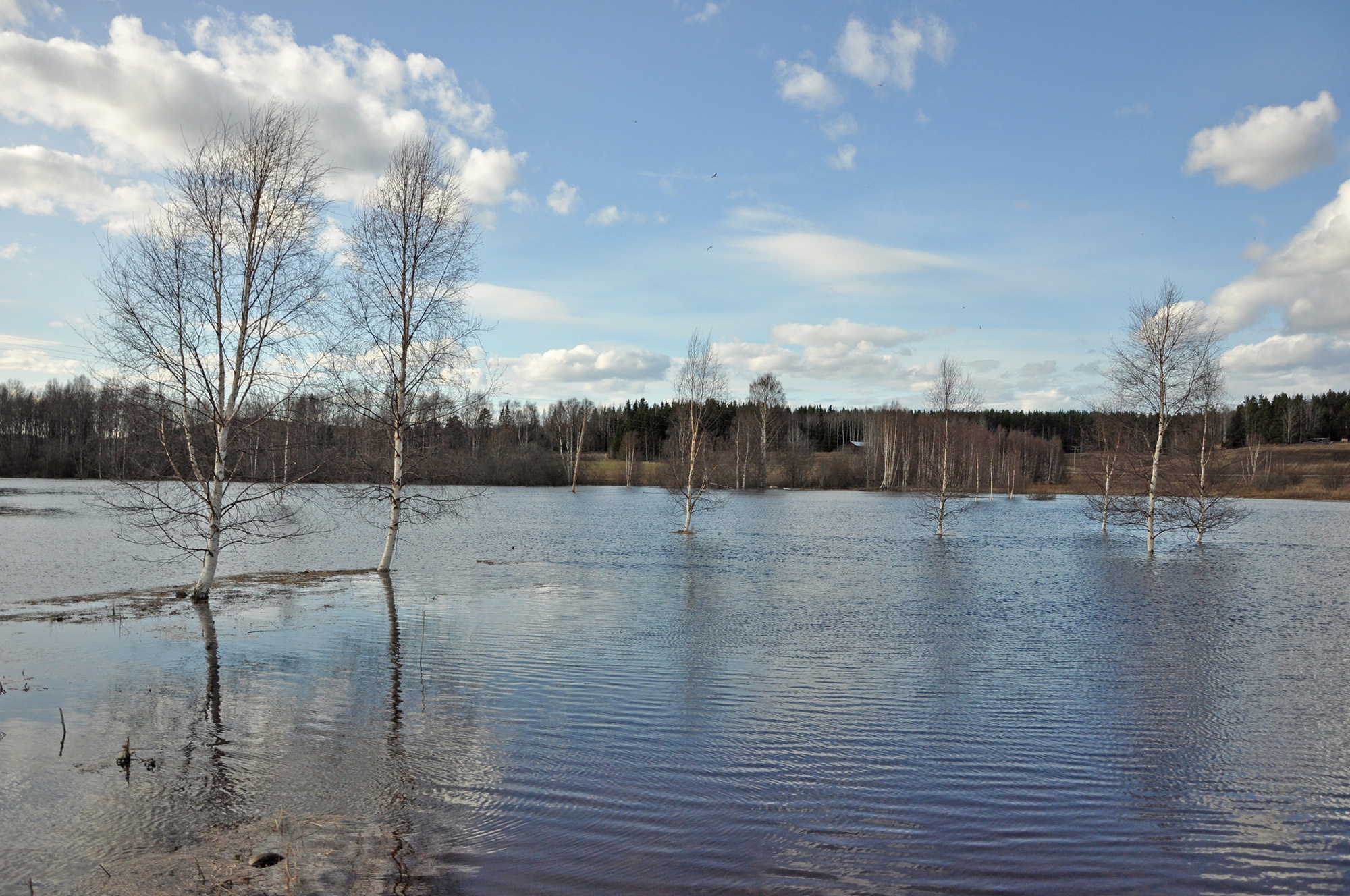 Röste.nu – Röstebilder – Våren kom med översvämning i Röste 2011