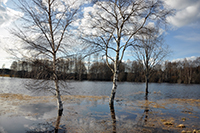 Röste.nu – Röstebilder – Våren kom med översvämning i Röste 2011