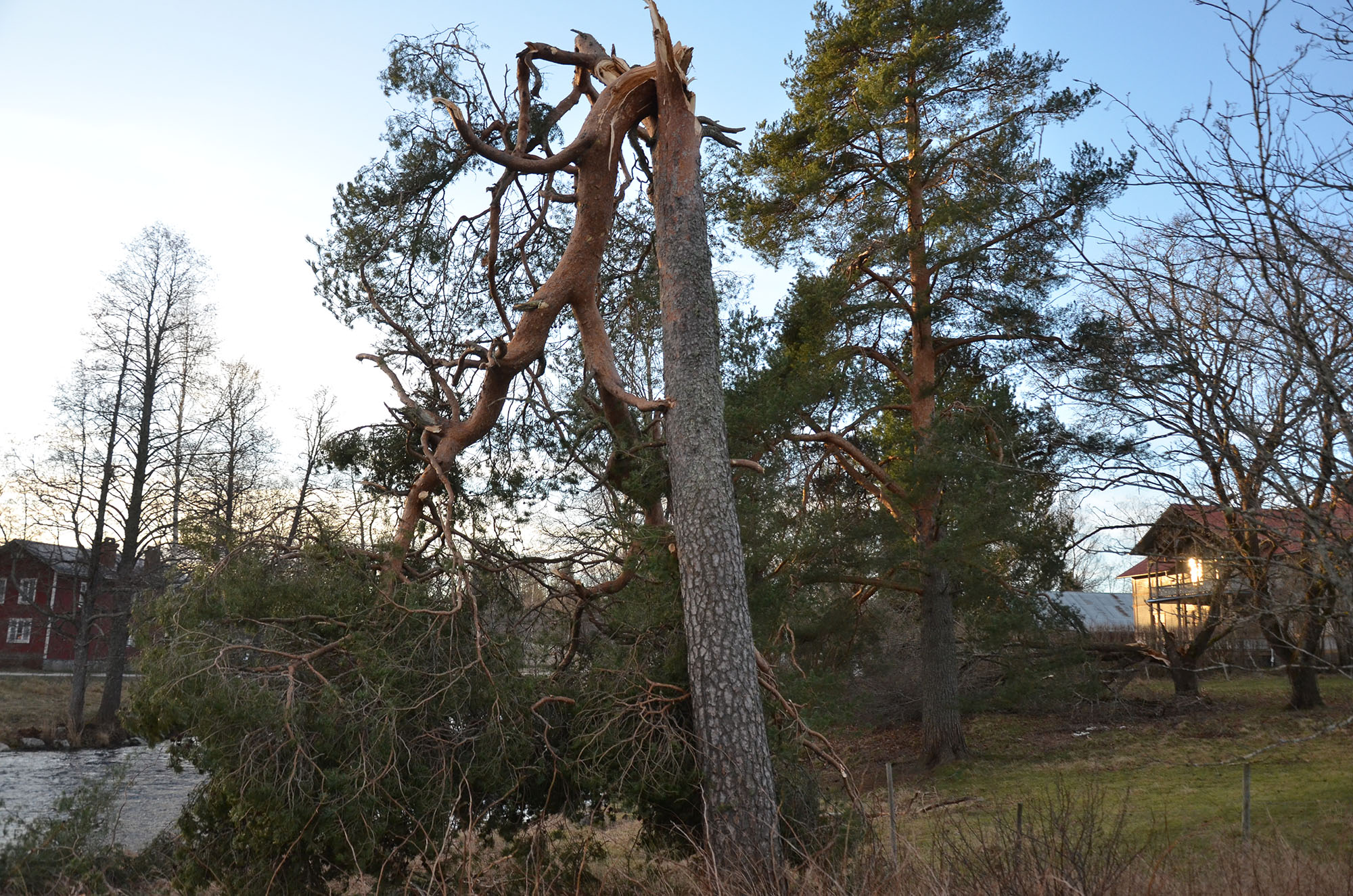 Röste.nu – Så drabbades Röste av stormen Johannes 2025