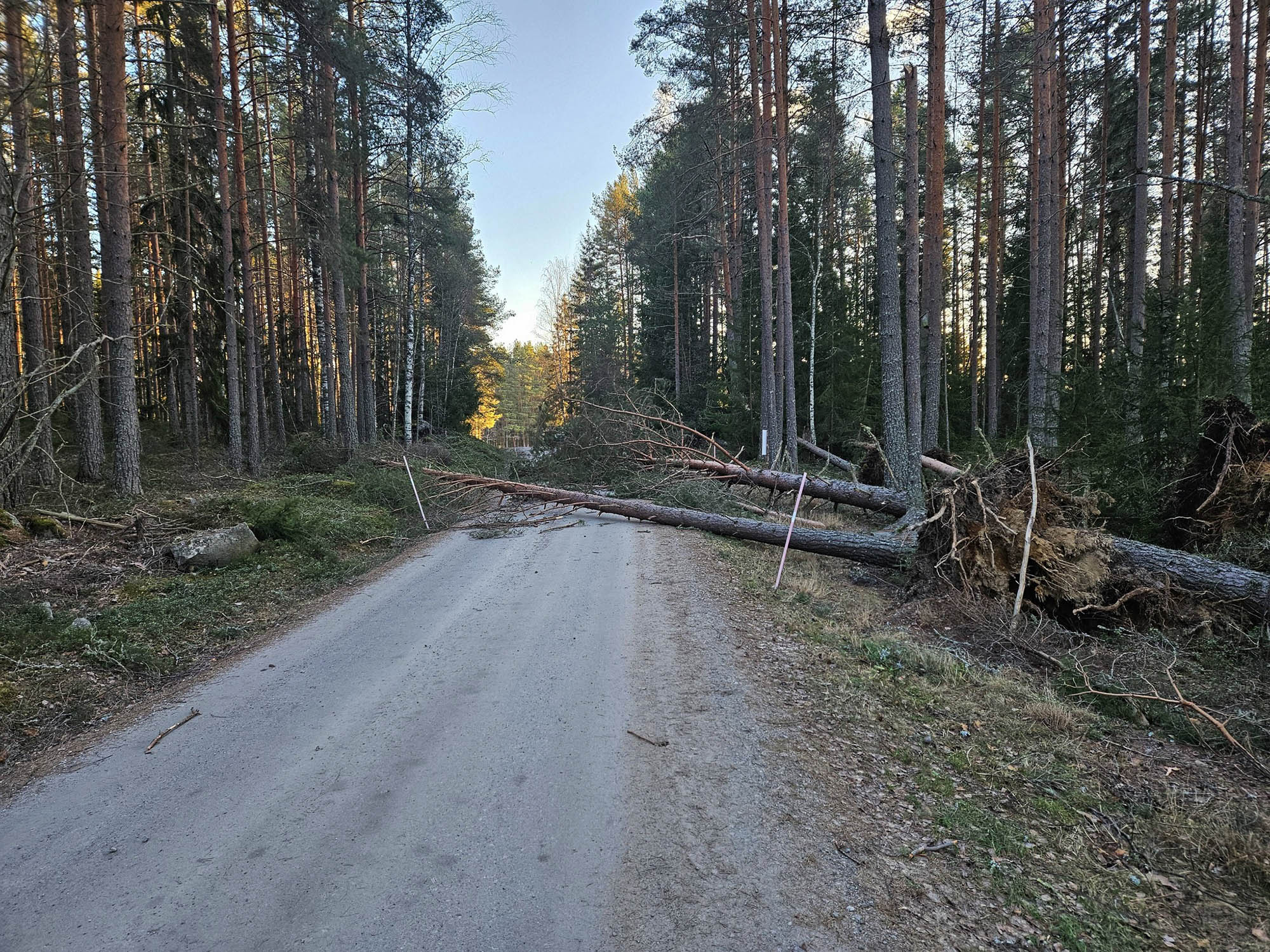 Röste.nu – Så drabbades Röste av stormen Johannes 2025