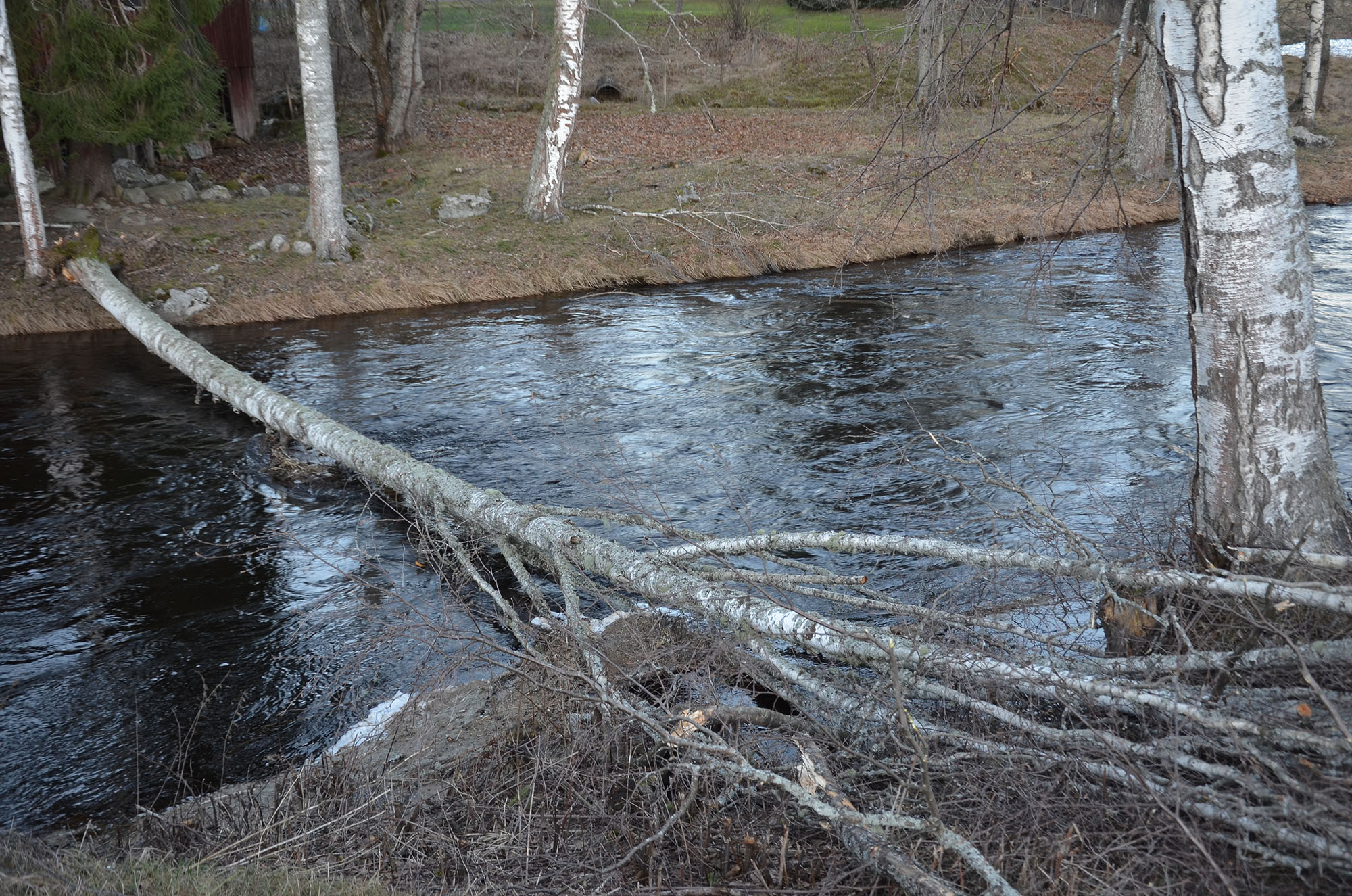 Röste.nu – Så drabbades Röste av stormen Johannes 2025