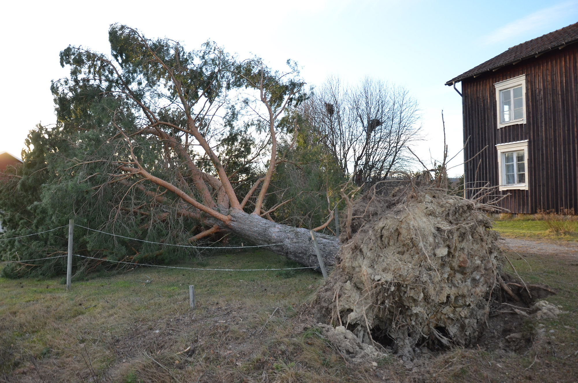 Röste.nu – Så drabbades Röste av stormen Johannes 2025