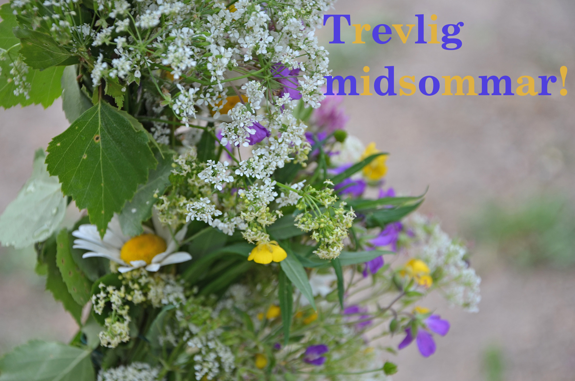 Röste.nu – Trevlig midsommar 2023