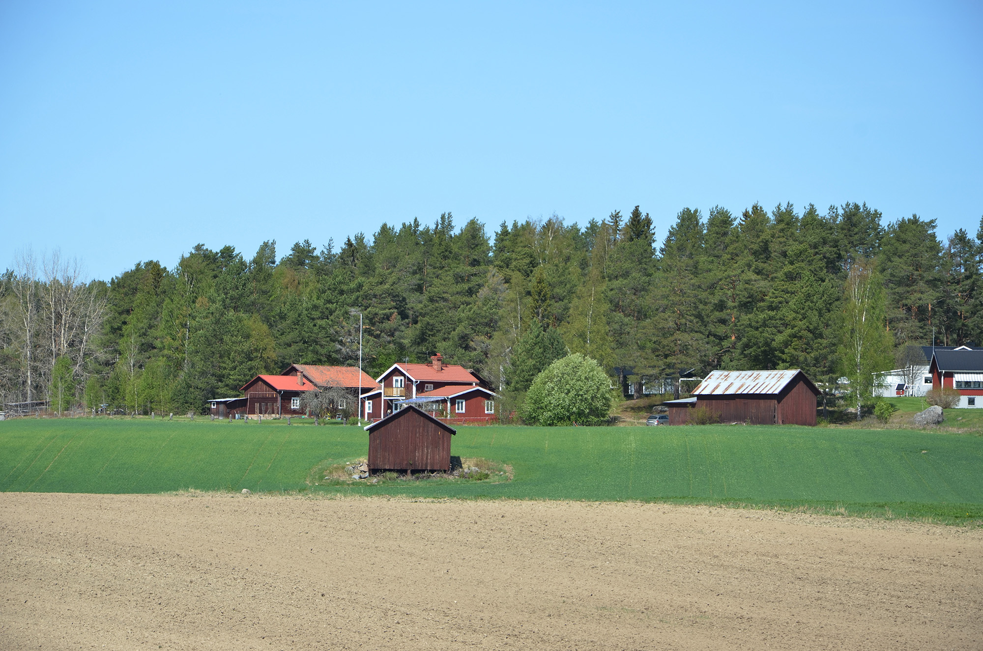 Röste.nu – Vår på Träskrinnsbacken 2023