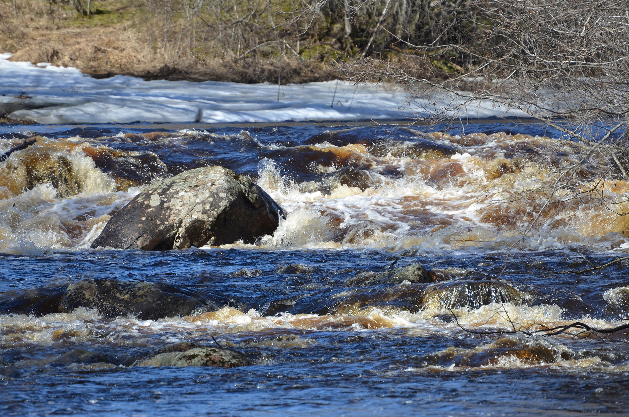 Röste.nu – Vår vid Galvåns gamla brofäste 2024/