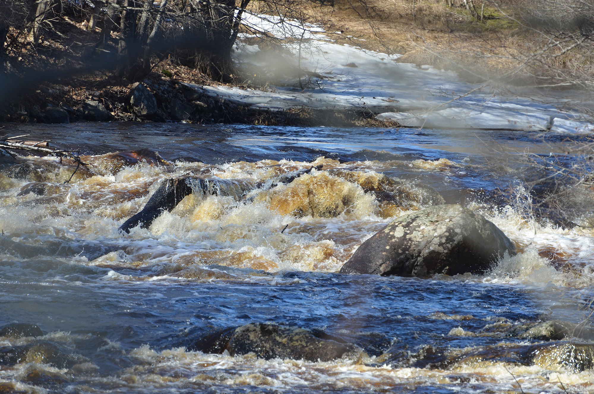 Röste.nu – Vår vid Galvåns gamla brofäste 2024/