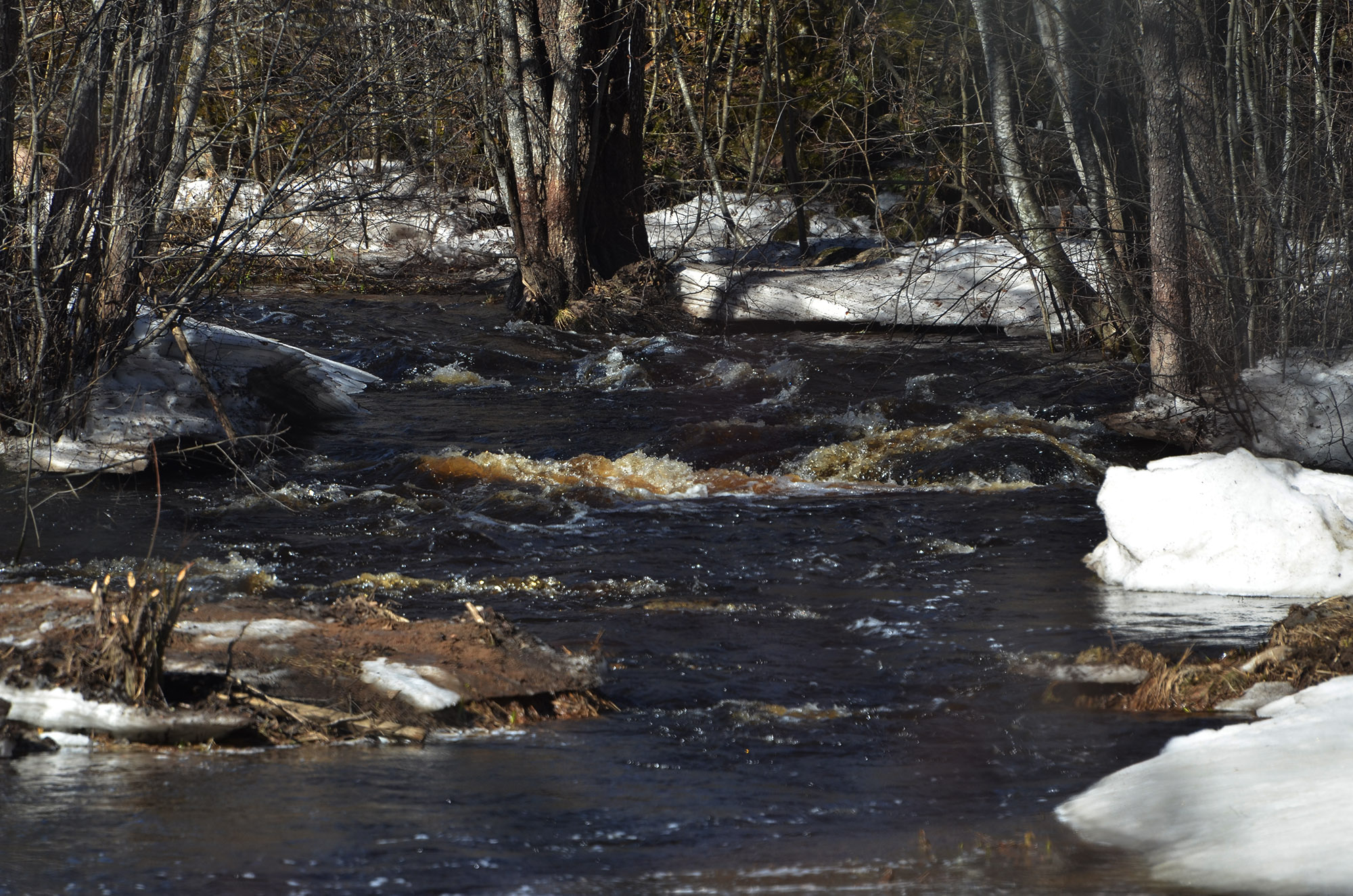 Röste.nu – Vår vid Galvåns gamla brofäste 2024/