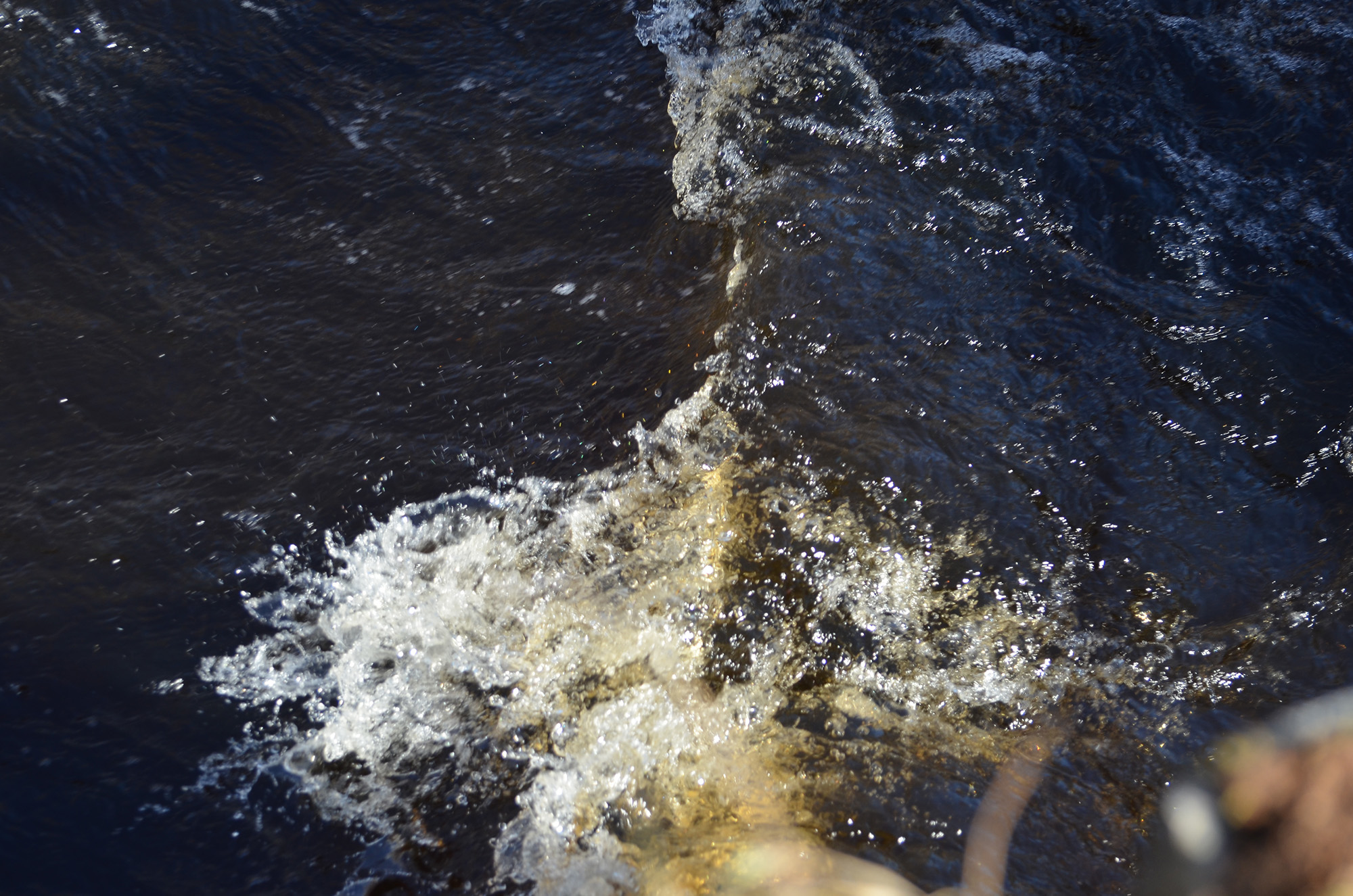 Röste.nu – Vår vid Galvåns gamla brofäste 2024/