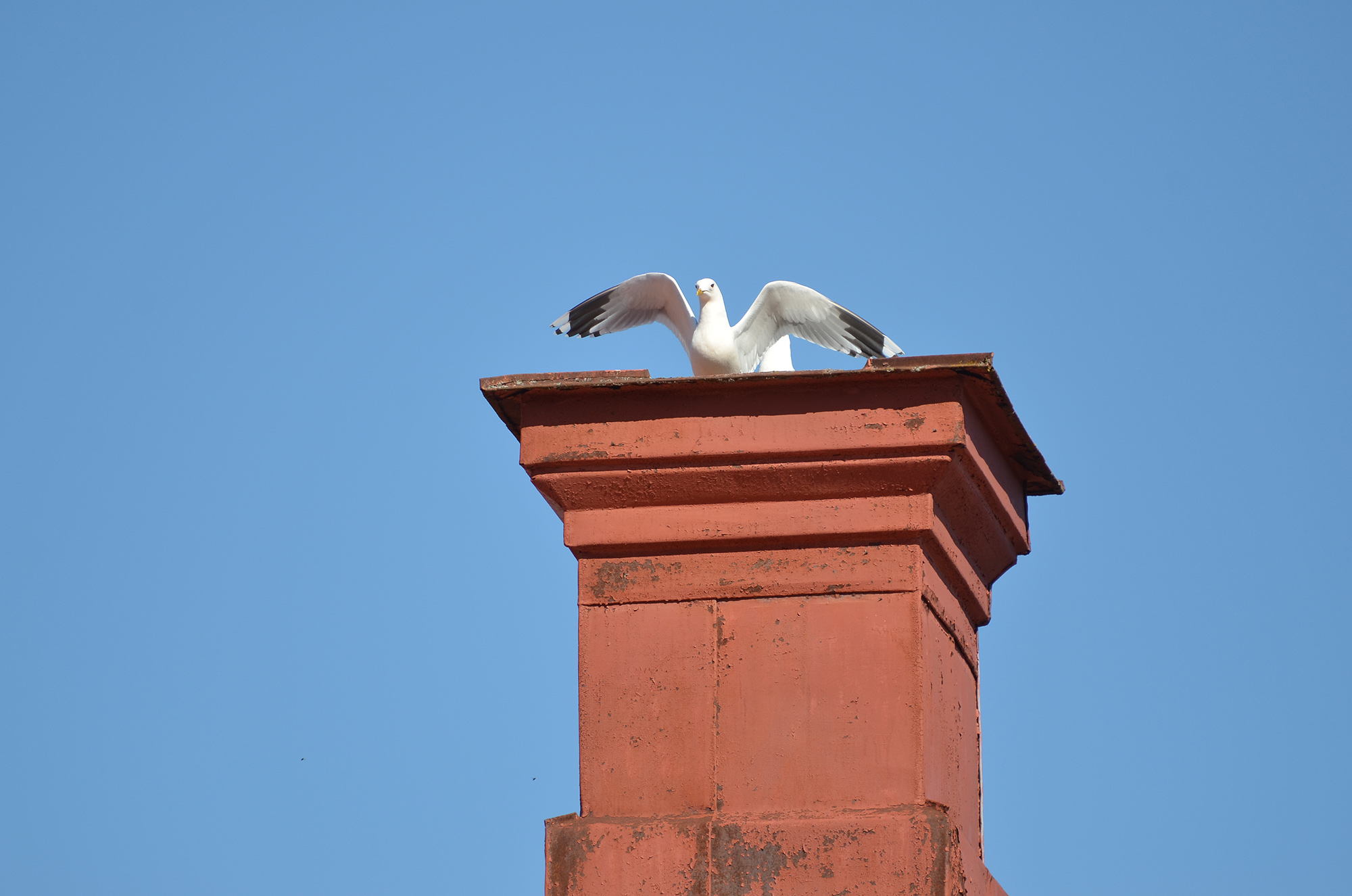 Röste.nu – Vår vid Galvåns gamla brofäste 2024/