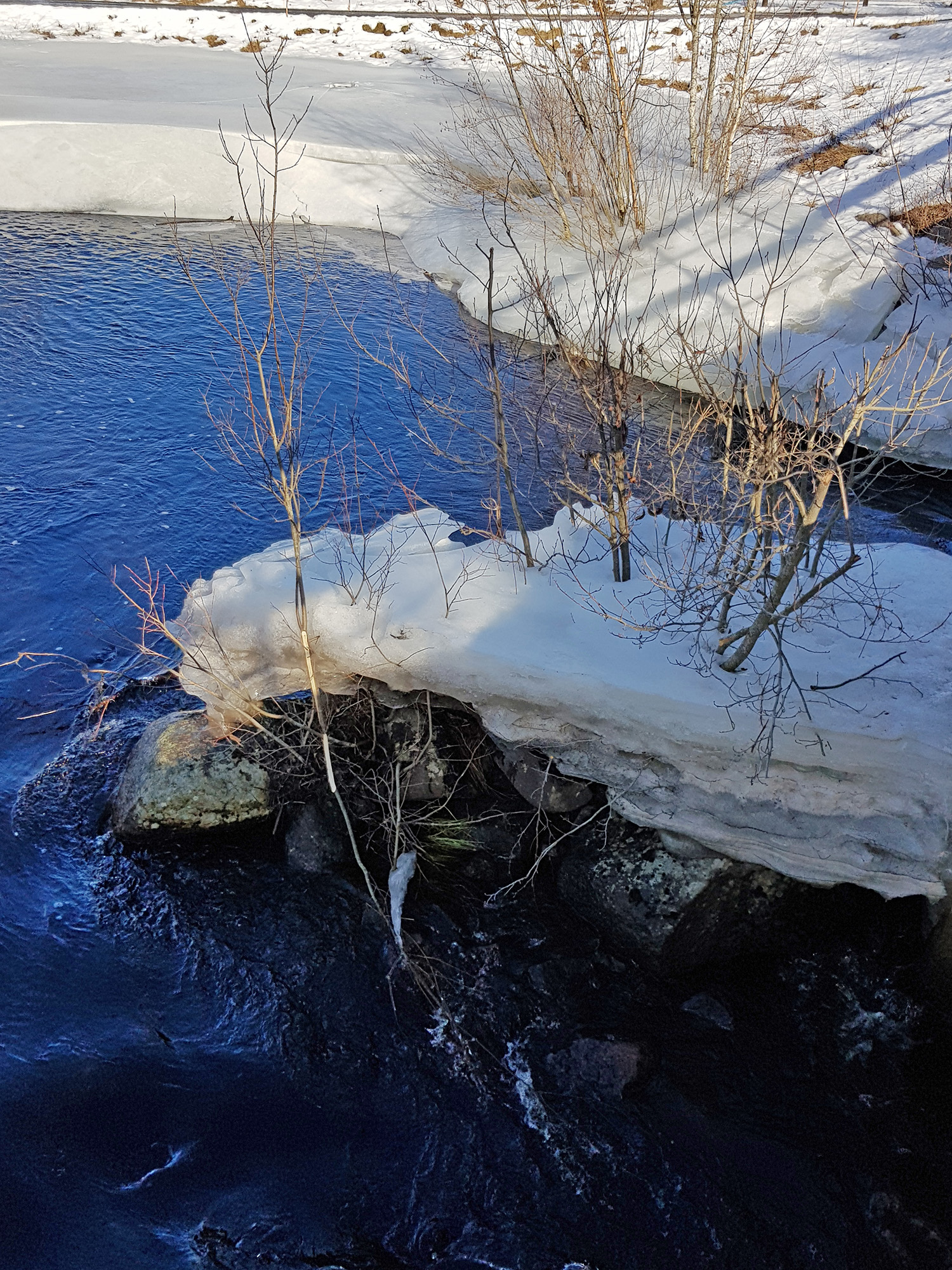 Röste.nu – Vårvinter vid Galvån och Röste Badhus 2021
