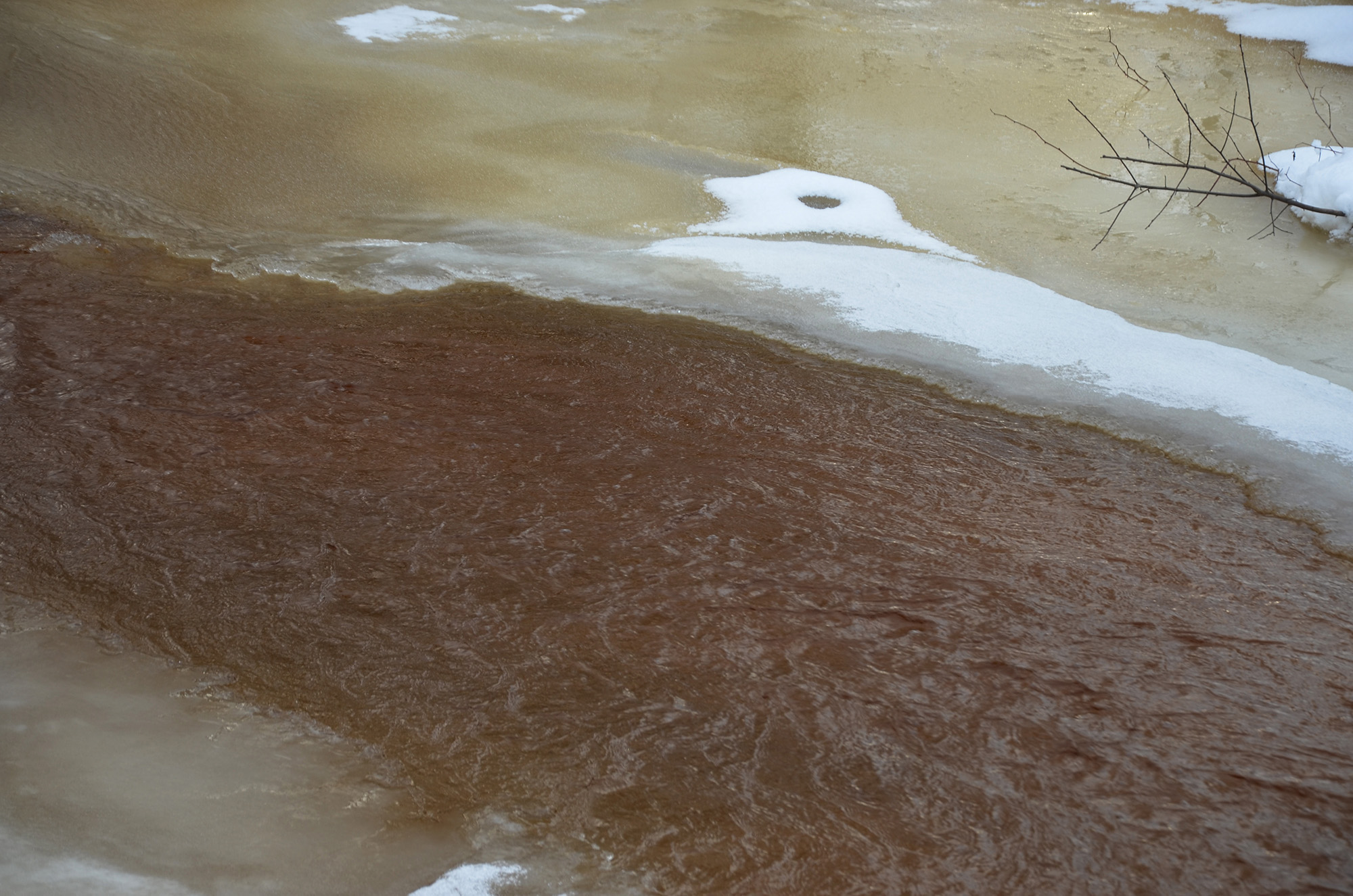 Röste.nu – Vinter vid Galvån 2026