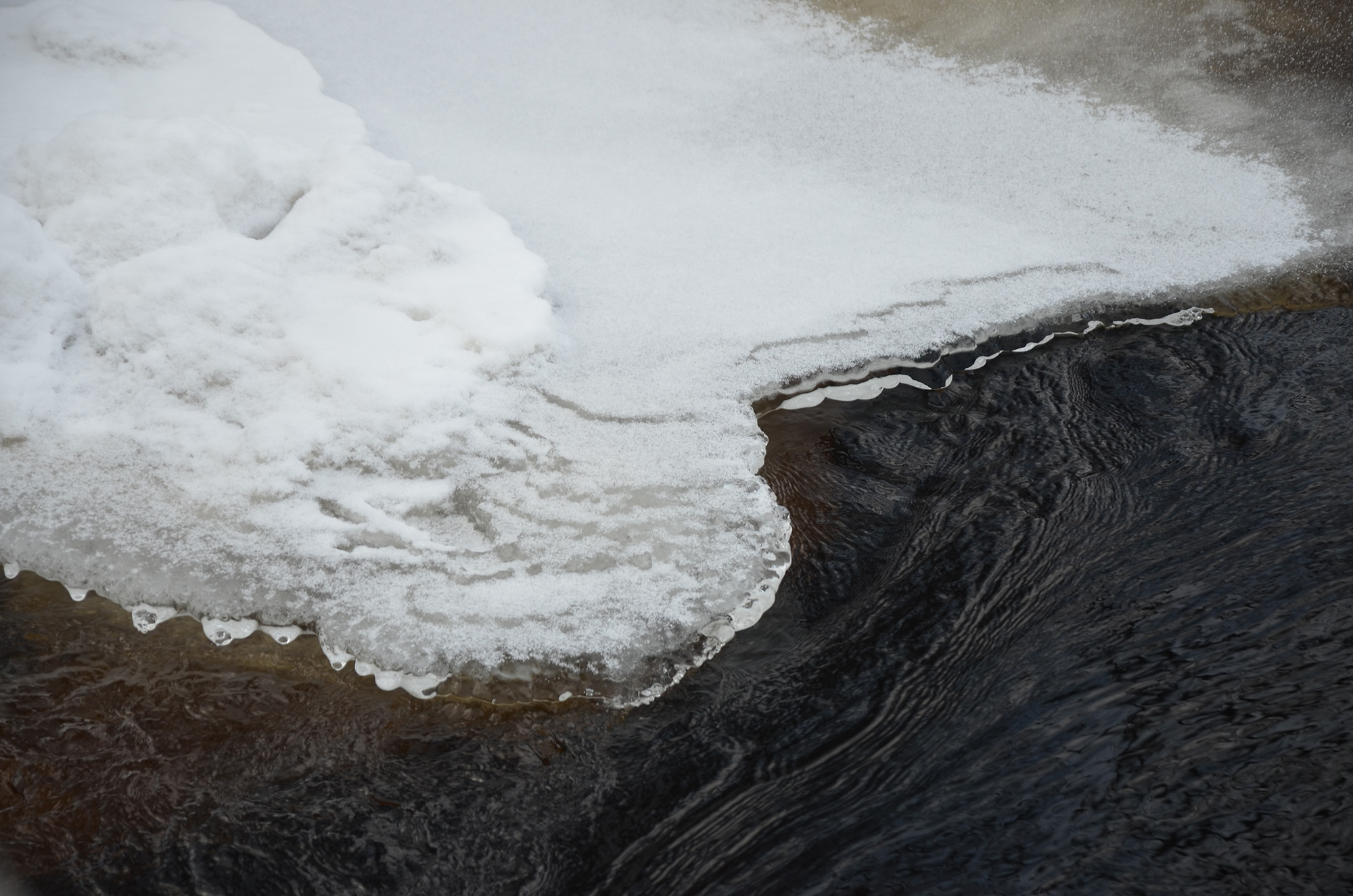 Röste.nu – Vinter vid Galvån 2026