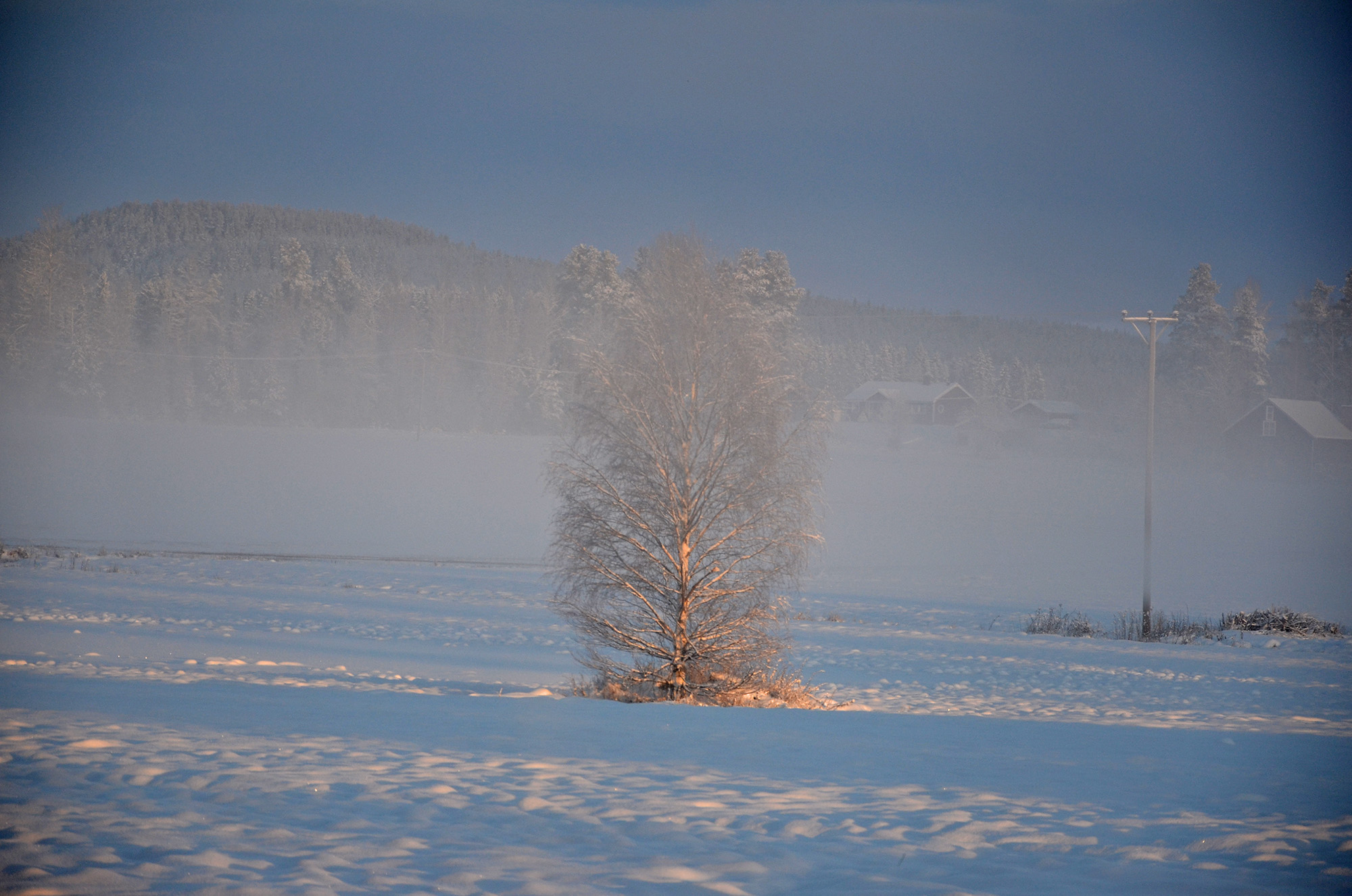 Röste.nu – Vintervyer i Röste 2021