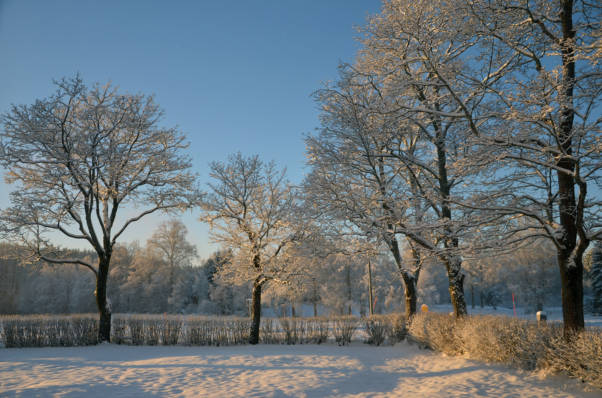 Röste.nu – Vintervyer i Röste 2021