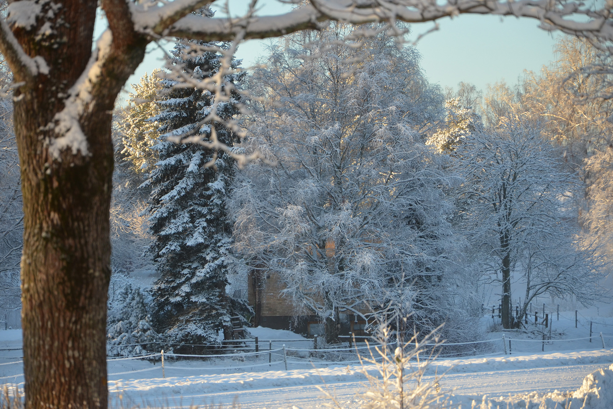 Röste.nu – Vintervyer i Röste 2021