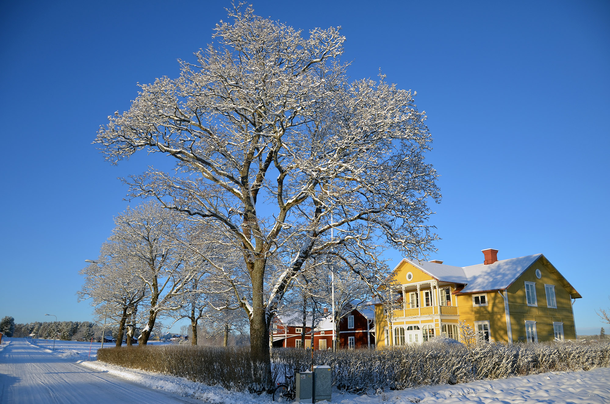 Röste.nu – Vintervyer i Röste 2021