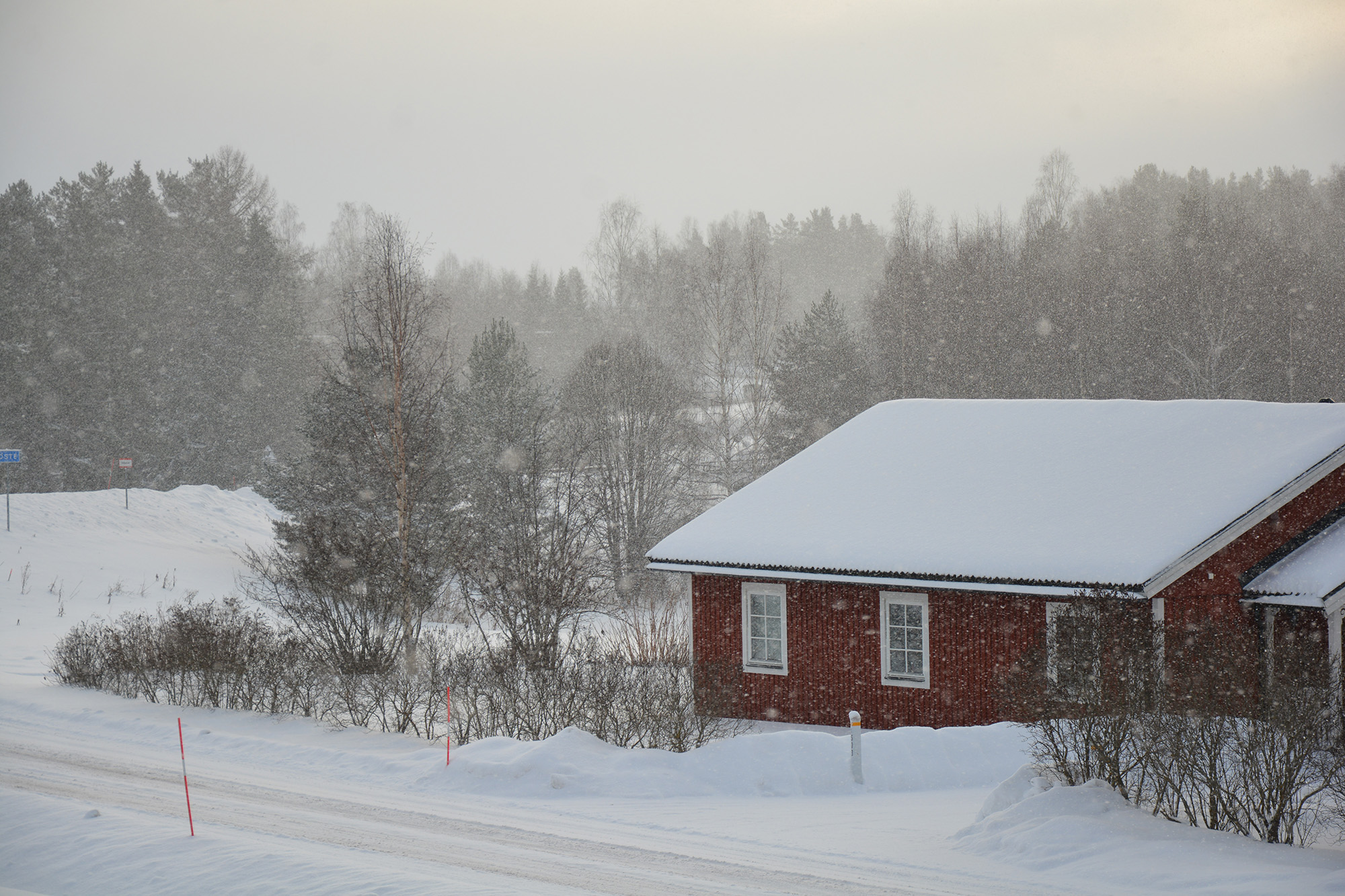 Röste.nu – Vintervy från tidningshusets balkong 2024