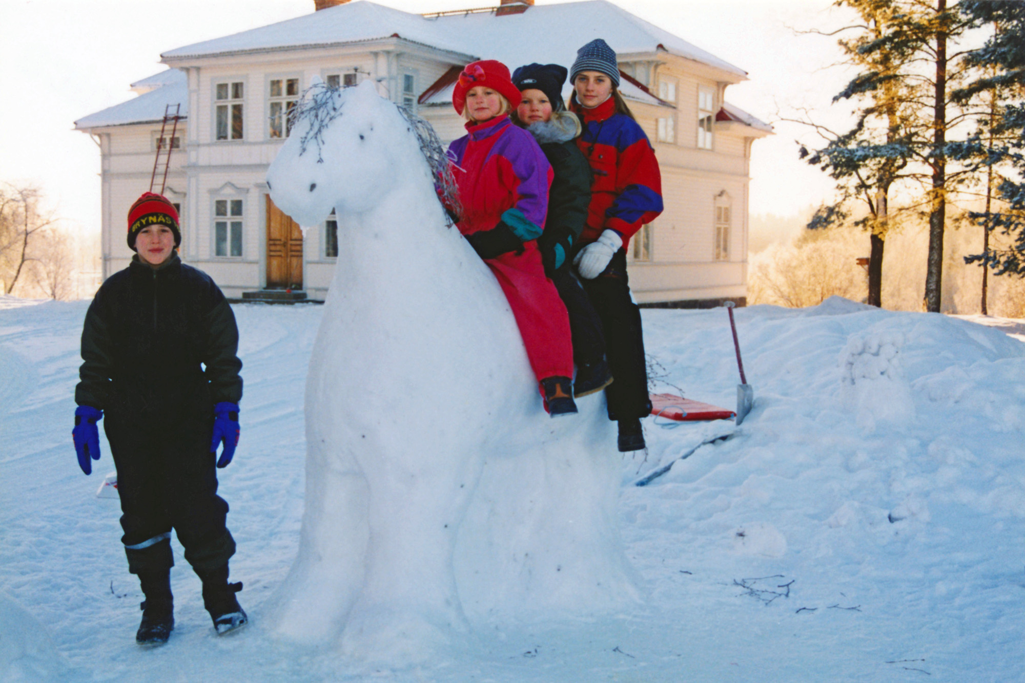 Röste.nu – Vita hästen i Röste för 22 år sedan