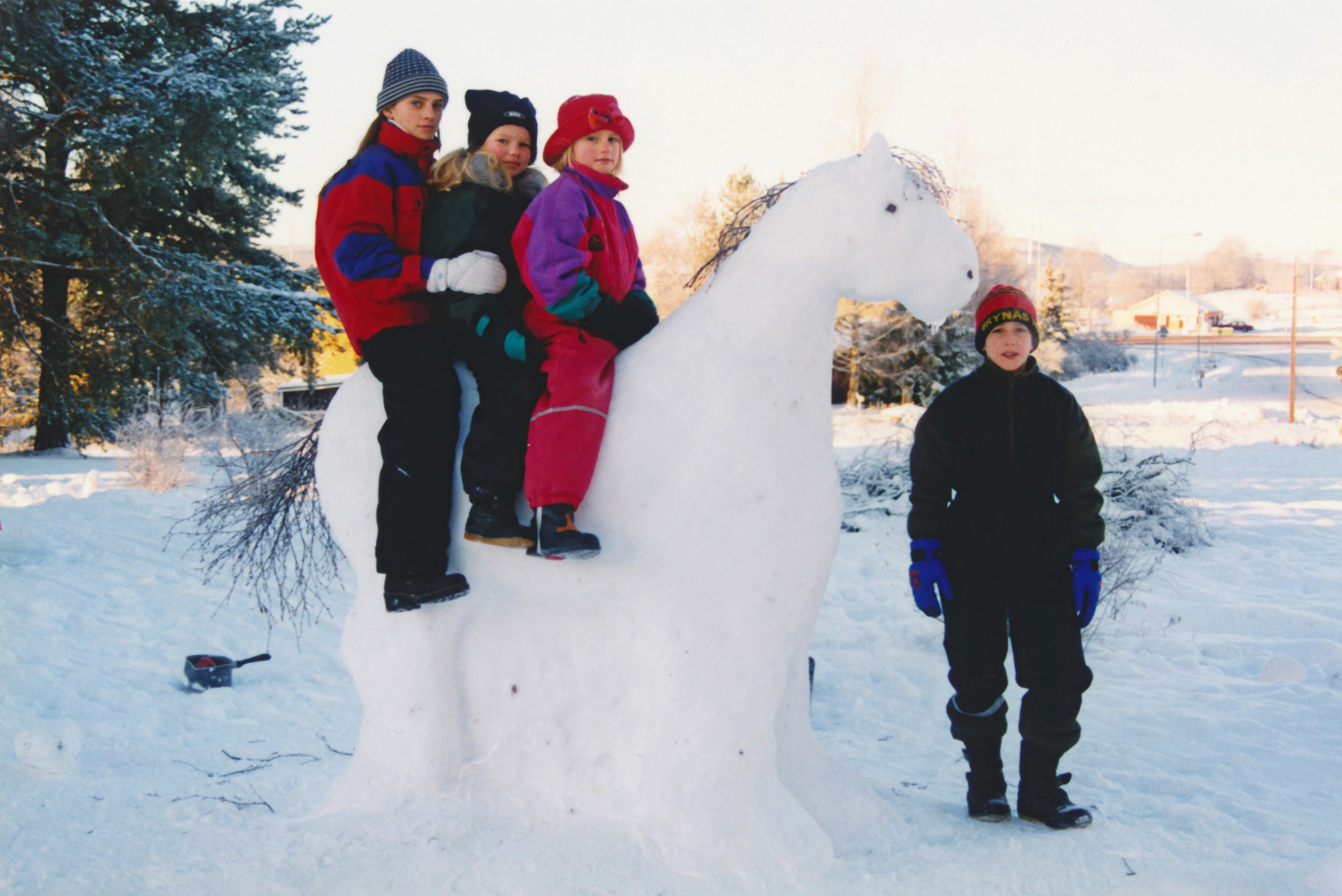 Röste.nu – Vita hästen i Röste för 22 år sedan